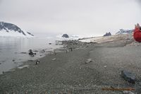 
DSC00043